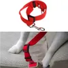 Pet puppy seat lead belt harness adjustable pet car seat belt dog car nylon seat belt JXW038