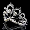 Nieuwe Collectie Big Size 2019 Miss Universe Same Crown Volledige Ronde Verstelbare Zilveren Parel Peakcock Feather Tiara Pageant