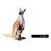 Simulering Kangaroo Action Figures Livtliknande utbildning Barn Barn Wild Animal Model Toy Gift Söt tecknad Toys9026578