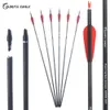 Spine 300 400 Archery Pure Carbon Arrows 28" 30" 31" ID6.2mm with Replaceable Arrowheads for Compound Recurve Bow Arrow Hunting Shooting