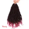 Bombowe włosy Włosy 14 -calowe wiosenne S szydełka Preluopowana pasja Ed Braiding Senegalese Kinky Curly Syntetyczne włosy E5935603