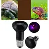 25/50/75 / 100W R63 Zwart Maanlicht UVA Emitter Heater Pet Animal Reptile Brooder Heat Night Lamp