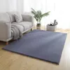 Tapis 200x300cm imitation fourrure tapis pour chambre à coucher Canapé couverture épaissie tapis de sol de plancher salon anti-dérapant Eau absorption tapis1