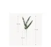 Sztuczne rośliny Miękkie Plastikowe Eukaliptusowe Zielone Rośliny Home Decor Fałszywe Roślin Liście Dekoracji Ślubnej Symulacja Bonsai GB1706