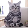 Simulazione Babiqu 50 cm cuscini per giocattoli per gatti peluche cuscini morbidi peluche cuscino decorazione cartone animato giocattoli per bambini per bambini regalo 6626513