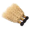 # 1B 613 Ombre Su Dalga Perulu Bakire Saç Dokuma atkıların Ombre Sarışın İnsan Saç 3 Paketler Wet ve Dalgalı Saç Uzantıları 10-30" fiyatlarına