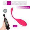 Controle remoto sem fio Vibrador de ovo vibratário Brinquedos sexuais para mulheres Estimulador de recarga de recarga USB Bola de massagem vaginal M4975491