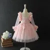 Filles robe de bal robe en dentelle printemps élégant princesse broderie conçu robe de soirée enfants robe enfants mariage 3-10 ans