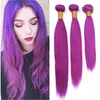 Virgin Brasilian Silky Straight Human Hair Buntlar Pure Puple Hair Weaves 3pcs Lot Pure Purple Virgin Remy Human Hair Weft Extensions