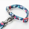 Dog Collar and Leash Set Combo Safety Set for Daily Outdoor Walking Running Training Small Medium Large Dogs Cats