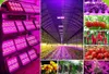 Full Spectrum Grow Light Kits 50W Slim Led Grow Lights Flowering Plant and Hydroponics System Led Plant Lamps AC 85-265V