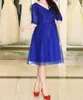 Elegant Blue Plus Size Mother of the Bride Dresses V-Neck Half Sleeves Zipper Back Applique with Beads Cheap Party Dress