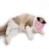 free shipping 100pcs Multi-functional cat mouth cover anti-bite anti-licking anti-cat head cover net breathable cat mask