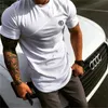 Músculo dos homens de marca T Shirt Bodybuilding Fitness Homens Tops Singlets Plus Big Size Algodão Malha De Manga Curta Tshirt C19041102