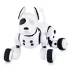 DIMEI 9007A Smart Robot Dog 2.4G Wireless Remote Control Kids Intelligent Talking Toy Electronic Pet Regalo di compleanno