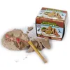 Kit de découverte de fossiles d'œufs de dinosaure, découverte scientifique, dinosaures, fossiles, squelettes, jouet d'archéologie pour enfants, jouets éducatifs d'apprentissage, cadeaux STEM