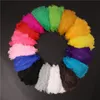 13 Zoll (30–35 cm) DIY-Straußenfedern, Bastelzubehör für Hochzeit, Herzstück, Hochzeit, Party, Event, Dekoration, festliche Dekoration, 16 Farben