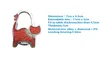 3pcs Folding Handbag Holder Mini Cute Cat Hanger Table Hook Purse Shopping Bag Sundries Back Seat Headrest Clips8321501