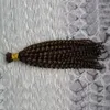 4B4C Mongolian Afro Kinky Curly Bulk 100g weft人間の髪の束モンゴルの変態な皮髪の髪