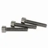 hex socket head bolt