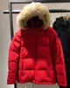 Hot ladies winter warm down jacket stuffed goose down windproof waterproof Wolf fur collar removable