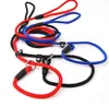 Бесплатная доставка Обучение Прогулка Pet Lead Rope 130см Long Strong Нейлон собака Щенок Поводок Красный Синий Черный цвет