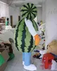 2019 usine nouvelle EVA matériel pastèque mascotte Costume fruits dessin animé vêtements Halloween fête d'anniversaire taille adulte