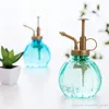 1 % bottiglia di annaffiatura in plastica per casa da 350 ml bottiglia per acqua succulenta piante succulenta strumenti di irrigazione di fiori 3 tipi Colore4250600