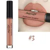 Neue Marke Make-Up Lippenstift Wasserdicht Matte Lippenstift Nude Pigment Braun Rot Farbe Flüssigkeit Lip Gloss Mode Matt Lip Tint