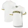 THR Michigan Baseball Jersey Harrison Salter Blake Beers Steven Hajjar Jacob Denner Isaiah Paige Benjamin Keizer Cameron Weston Angelo Smith