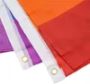 Graysexual Pride Flag 3x5 FT LGBT Gay Banner 90x150cm Festival Party Sports Gift 100D Polyester Indoor Outdoor Printed Flags and B5013028