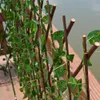 New Extension Type Garden Buildings Fence Artificial Green Leaf Branch Bucolic Mula Net Wooden Home Restaurants Wall Decoration