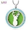 Fashion- colorful deer head 30mm Round glossy magnet can be open 316L Stainless steel perfume pendant fit necklace without chain