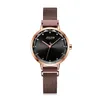 cwp 2021 watch Creative Design Magnet Stainless Steel Mesh Band Women's Japan Miyota Movt Fashion Quartz JA-1143