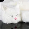 Realistiska djur liggande katt plysch leksaksimulering minikatter husdjur leksak bild dekoration gåva 29x30x10 cm dy800442882194