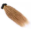 Ombre Honey Blonde Tisse des Faisceaux de Cheveux Humains Péruviens Kinkys Bouclés Extensions de Cheveux Vierges # 1B 27 Brun Clair Ombre Trames de Cheveux Humains 300Gram