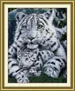 Cuidados Tiger Filho e Mãe Room Animal Decoração Pinturas, Handmade Cross Stitch Ferramentas de Artesanato Bordado Conjuntos de Bordado Conjuntos Contados Impressão em Canvas DMC 14CT / 11CT