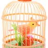 New Foreign Trade Voice Control Simulation Birdcage Children Creative Induction Electric Toy Birds Gift