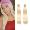 Extensions de cheveux humains vierges indiennes 2 pièces un ensemble 613 # trames de cheveux raides blonds 10-30 pouces produits en gros doubles trames