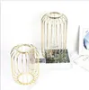 Love Cage Jars Nordic Luxury Transparent Glass Bottles Creative Iron Art Hydroponic Vase Arrangement Dry Flower Living Room Decoration
