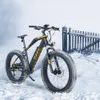 Прохладный сокол 7 скорость с ЖК-дисплеем Snowmobile 5 PAS Electric Bike 48V 13Ah 624W Сильная литий-ионная батарея с длительной выносливостью