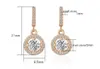 Utsökt Koreanska Charm Örhängen Solid 925 Sterling Silver Strip Circle Zirconia Rose Gold Färg Earing Party Smycken för Kvinnor Flickor