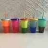 24oz Color Changing Cups PP Temperature Sensing Cups Skinny Tumblers Coffee Cup Mug Water Bottles With Straws ZZA8453121896