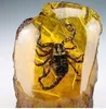 Oosterse vintage handwerk Natural Amber Scorpion Statue