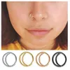 small hoop nose ring