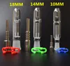 Hoge Kwaliteit Mini Glas Pijpen Kit met GR2 Titanium Nail Titanium Tip 10mm 14mm 18mm alle beschikbaar omgekeerde spijker