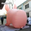 L'illuminazione su misura del maiale gonfiabile 2.5m di altezza ha reso personale il maiale gigante del pallone animale della mascotte per la fase di concerto e la decorazione del parco dello zoo