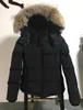 Hot ladies winter warm down jacket stuffed goose down windproof waterproof Wolf fur collar removable