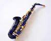 High Quality SUZUKI Alto Eb Tune Saxophone E-flat Performance Musical Instruments Brass Blue Saxophone with Case Mouthpiece