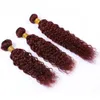 Fasci di capelli umani rosso vino Estensioni dei capelli vergini bagnati e ondulati Pure 99J Onda di acqua rossa bordeaux Trame di tessuto di capelli umani brasiliani 10-30 "